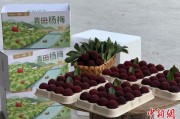 六爻番外高速赋能产业升级：一条“杨梅路”的致富密码