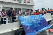 六爻番外浙江今年计划放流种类海洋水生生物苗种超15亿单位