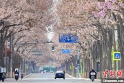 六爻番外共建“花园城市” 北京这场议政会“百花齐放”